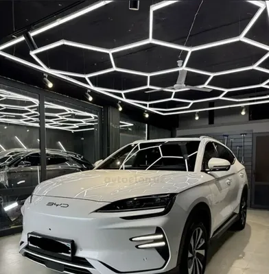 Bvd 2025 yil afisali 1