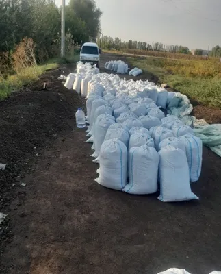 Bio гомис, качественный гомис 1