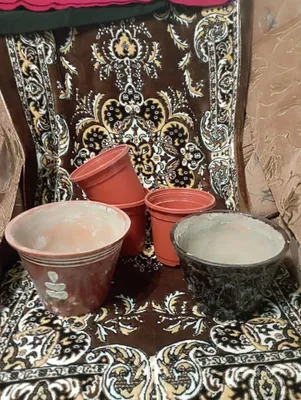 Gullar uchun gultuvaklar 5 dona
