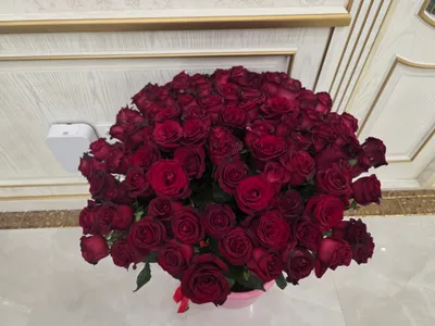голландский розы 3
