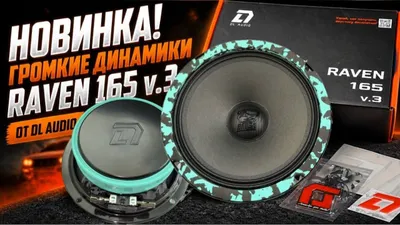 DL Audio Raven 165 v3