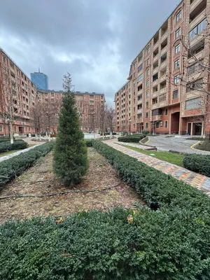 Продажа 5-комн. кв. 244 м² · ID 1018 1