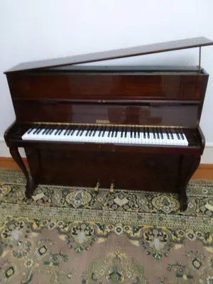 A’lo holatdagi Ronisch pianinosi (Germaniya) 1