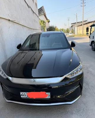 Byd song plus эл