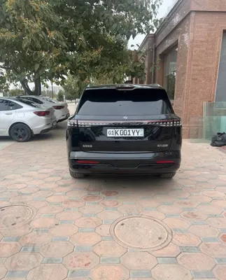 Dongfeng 008. 620 км 1