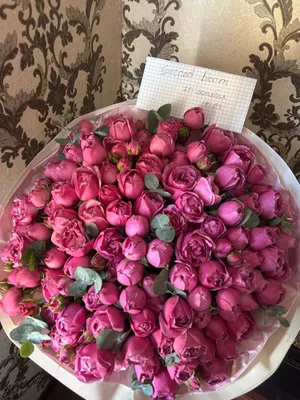 Очень свежие цветы 1
