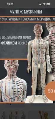 муляж мужина и женшина