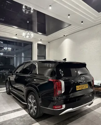 Hyundai palisade 2021-22 1