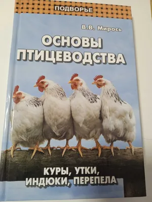 Основы птицеводства. Куры, утки, индюки, перепела 1