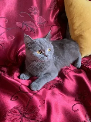 Yosh va qari porno galereyalar