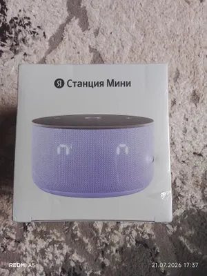 Алиса станция мини