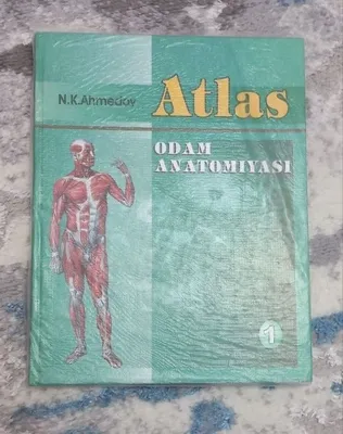 Inson anatomiyasi 1
