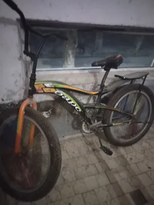 bars velik 24 razmer 1