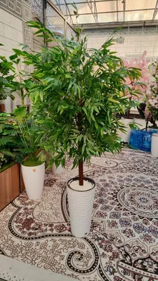 Мир искусственных деревьев у нас недорого 1