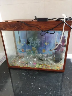 Akvarium, 40 litr. Holati a’lo. To‘liq jihozlangan 1