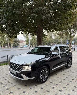 Hyundai Santa Fe 1