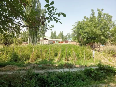Uchastka sotiladi 1