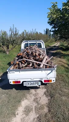 Продаются фруктовые деревья на дрова 1