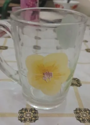 stakan