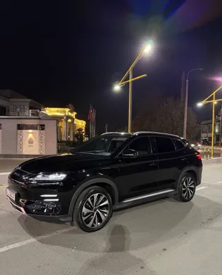 BYD champion Honor edition 605km 1