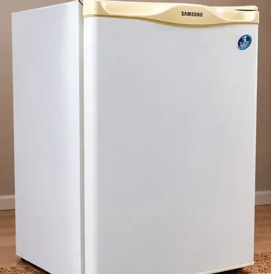 Samsung mini muzlatgichi 1