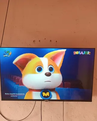 Televizor Samsung Smart 43 talik 1