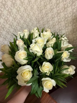 24 шт роз 1
