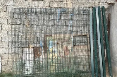 Yevra zabor sotiladi sitoykalari bilan 1
