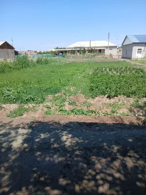 Беговотда Жой урни сотилади 1