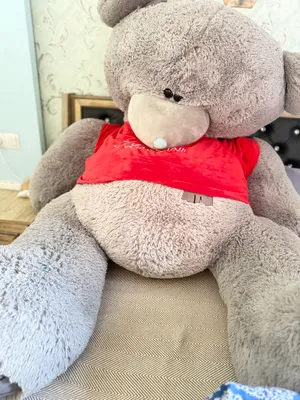 Tedi ayqcha 1