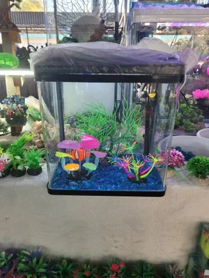 18 litrli akvarium 1