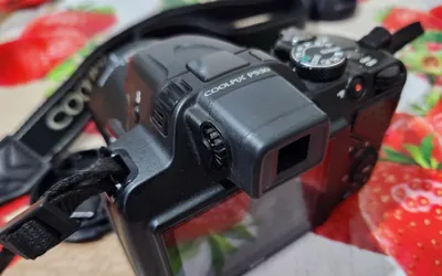 Nikon Coolpix P530 1