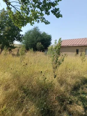 Срочно продаётся дом, Майский, Найманда 1