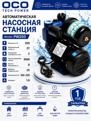 Nasos PW250 1
