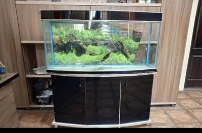Akvarium sotiladi 200 litr