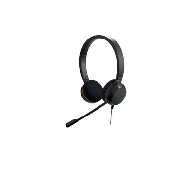 ( Наушники Jabra Evolve 20 Mono MS USB C/A 1
