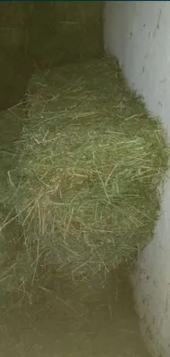 Большой пресс сена 1