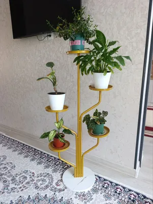 gul pastavka 1