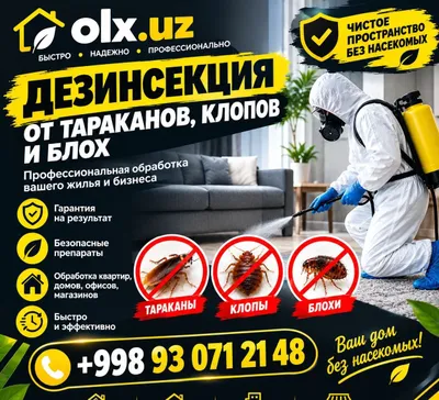 Дезинфекция / дезинфекция / В вашем доме или офисе 1