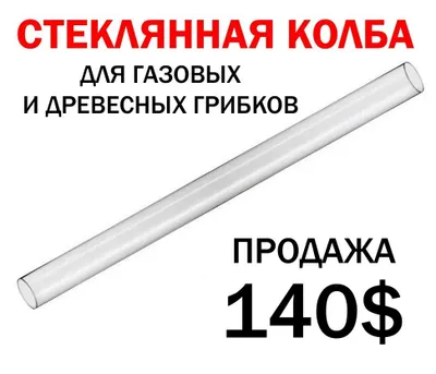 Tashqi kaminlar uchun kolba sotiladi 1