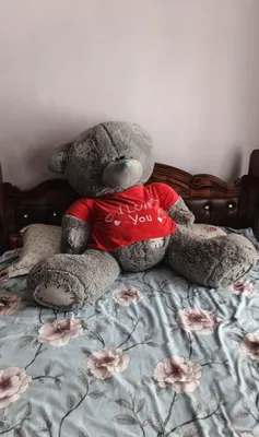 Большая игрушка Teddy
