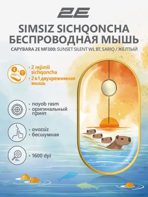 Kompyuter va noutbuk uchun shovqinsiz simsiz sichqoncha, naqshli sariq 1