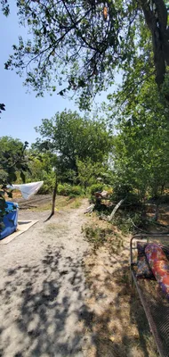 Yer uchastkasi (dala hovli) sotiladi 1