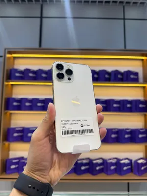 iPhone 13 PRO MAX 1