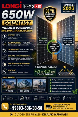 Солнечные панели Longi SCIENTIST x10 650 Вт 1