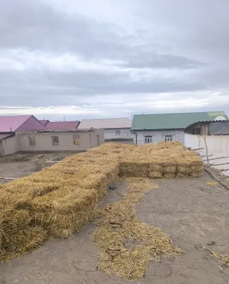 Бидай саман пресс