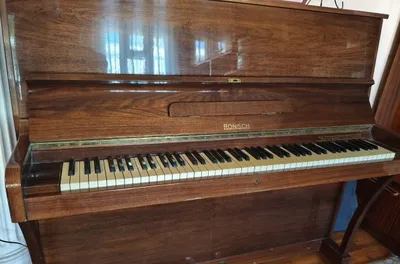 Ronich pianinosi sotiladi 1