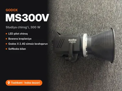 Студийная вспышка Godox MS300V 300 Вт + софтбокс 1