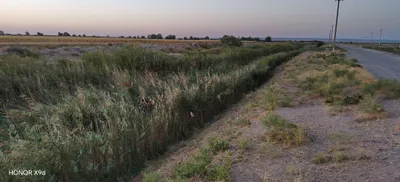 Баликхона сотилади 1