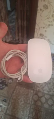 Magic Mouse Apple 2 2